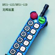 �_�����������b����-BF21-12D/BF21-12s Yuding explosion proof remote controller
